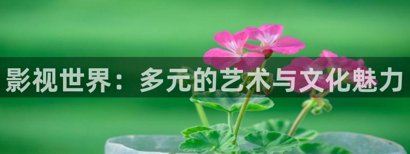 天空电影完整版免费观看中文高清