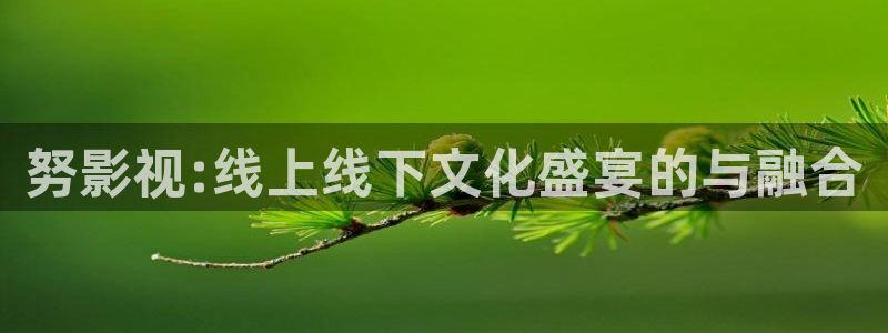 免费看剧天空视频：努影视:线上线下文化盛宴的与融合