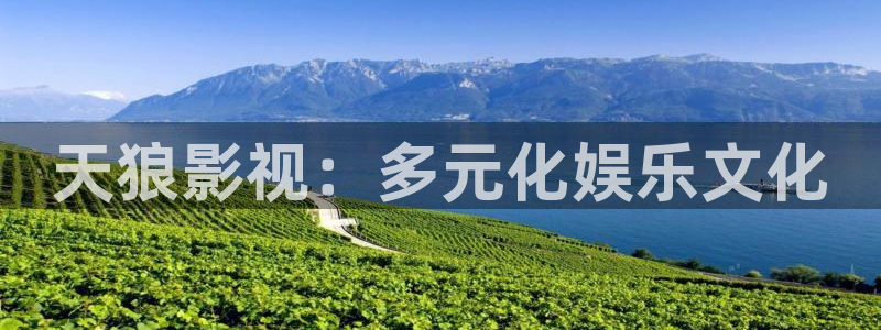 十八岁的天空免费看全集：天狼影视：多元化娱乐文化