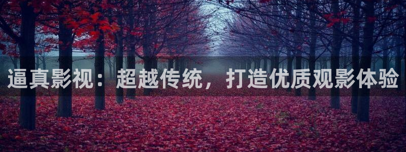 电影天空猎：逼真影视：超越传统，打造优质观影体验