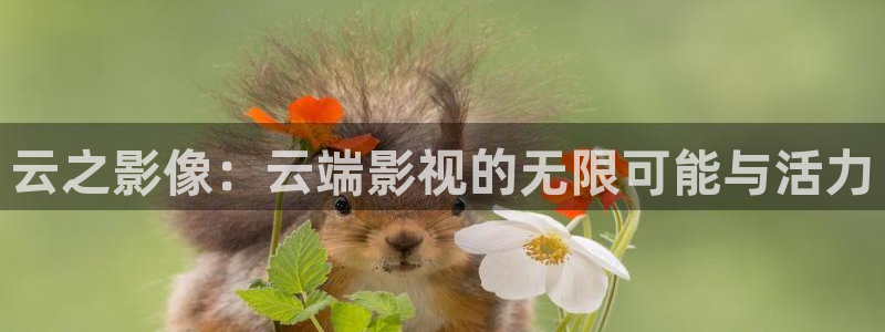 黄土地外的天空全集免费观看：云之影像：云端影视的无限可能与活力