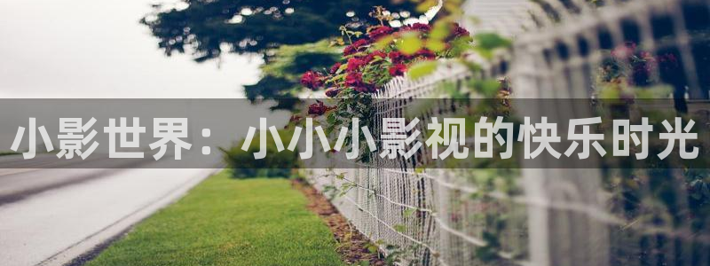 滚动的天空破解版在哪下载：小影世界：小小小影视的快乐时光