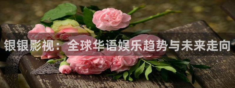 天空影视免费观看视频：银银影视：全球华语娱乐趋势与未来走向