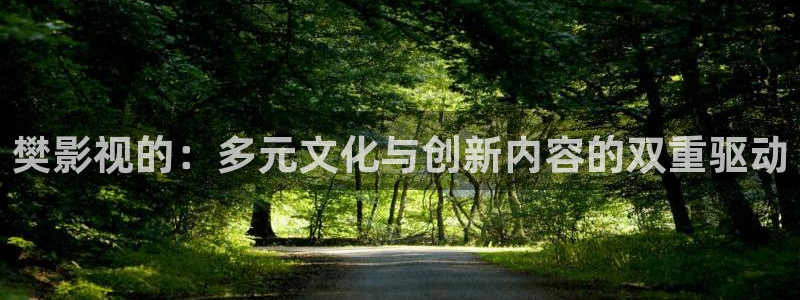 电影天堂 天空之城：樊影视的：多元文化与创新内容的双重驱动